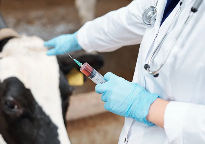 veterinarian